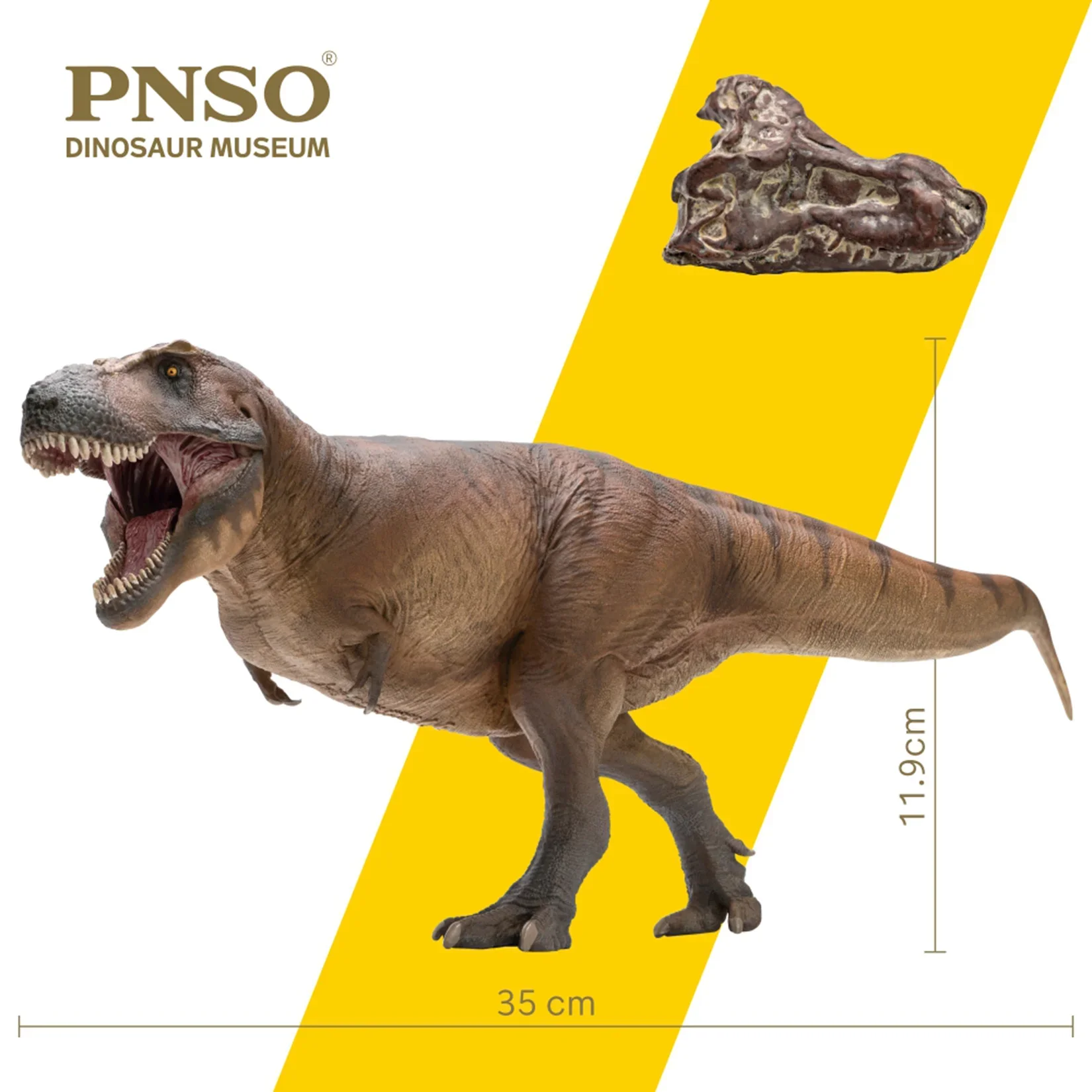 Resin Art Decoration Items - PNSO 1/35 Modello di Tirannosauro Rex